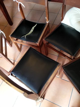 6 Sillas de Comedor Madera y Tela