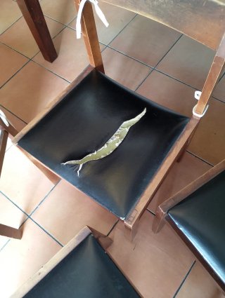 6 Sillas de Comedor Madera y Tela