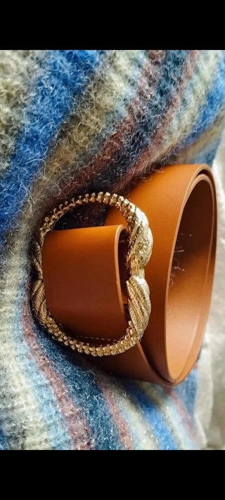 Cinturón Sezane Serpiente Hebilla Dorada