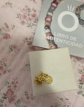 Charm Pandora