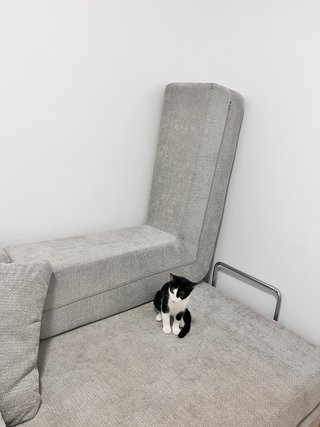 Sofá modular 3 plazas gris tela (sofá cama)