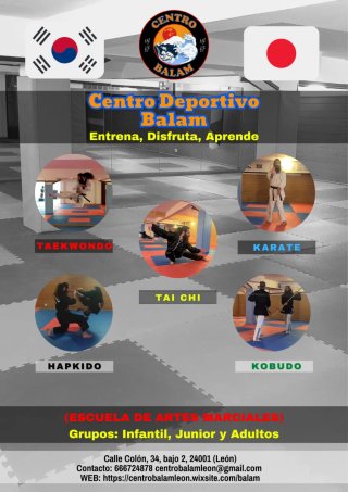 Se vende diccionario de español-ingles