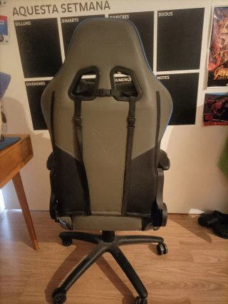 Silla Gaming Profesional ThunderX3