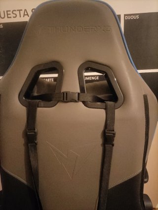 Silla Gaming Profesional ThunderX3