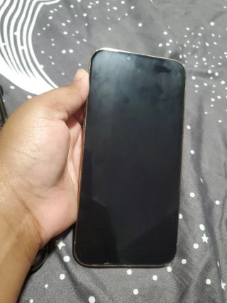 iPhone 13 Pro Max Argento 128