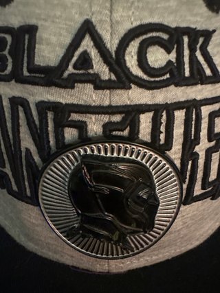 Gorra Black Panther Bioworld Placa Metálica