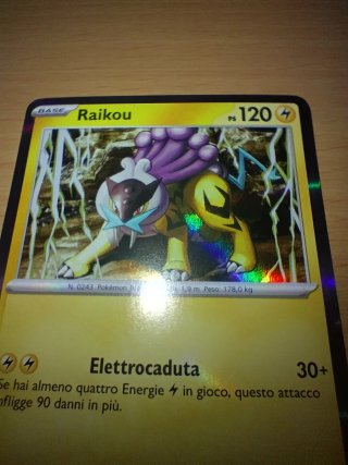 Carta Pokémon Raikou Olografica 048/132