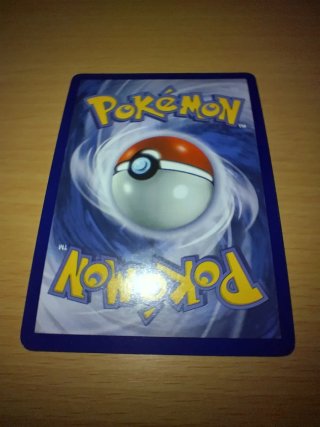 Carta Pokémon Raikou Olografica 048/132