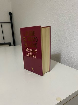 Lo que el viento se llevó