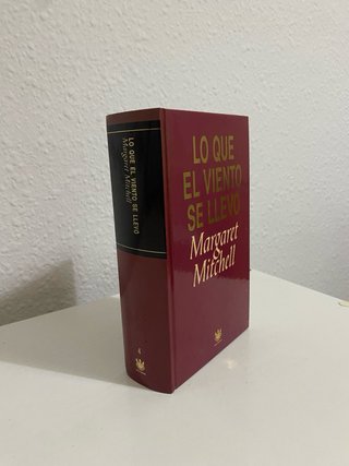 Lo que el viento se llevó