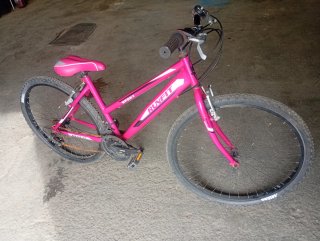 Bicicleta Montaña Rosa