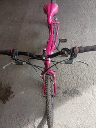 Bicicleta Montaña Rosa