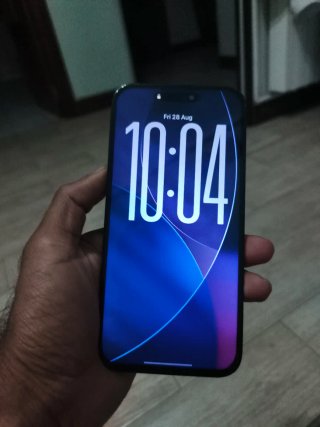 iPhone 14 Pro Max 256GB Gris