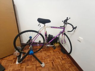 Bicicleta Vintage Morada