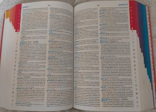 Diccionario Avanzado Primaria. Lengua española
