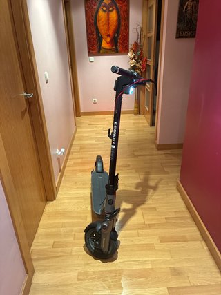 Patinete Segway F3