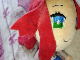 Lotto peluche DDLC Monika & Rin Kagamine
