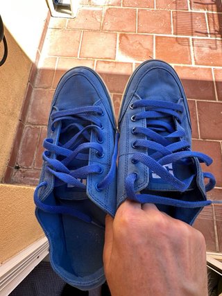 zapatillas DC