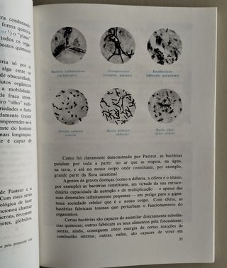 As Origens da Vida - do átomo à célula