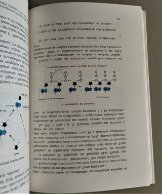 As Origens da Vida - do átomo à célula