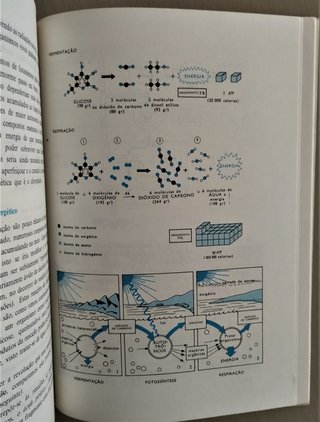 As Origens da Vida - do átomo à célula