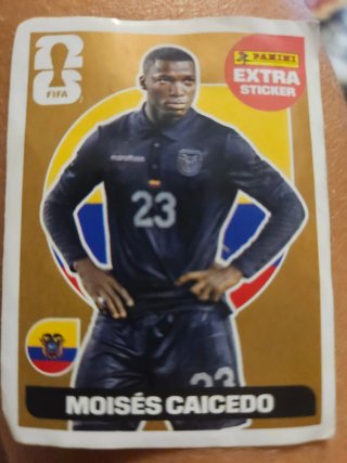 Cromo Panini Extra Sticker Mundial