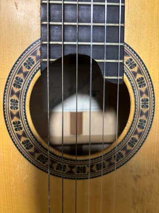 Guitarra Flamenca Artesanal Tomás Leal Mejías