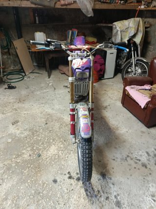 Beta Techno 250 Trial