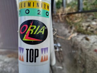 Bicicleta Razesa Oria Vintage