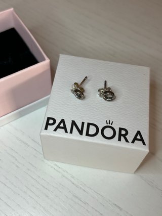 Orecchini Pandora Argento con Logo e Corona
