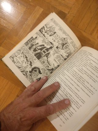Julio César El conquistador de las Galias