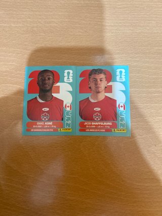 Figuritas cromos del mundial 2026 por equipos
