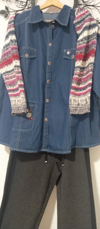 Camisa vaquera de algodón