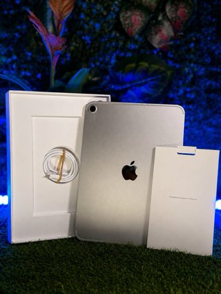 iPad Apple 11ª Gen WiFi + Cellular 27 CICLOS