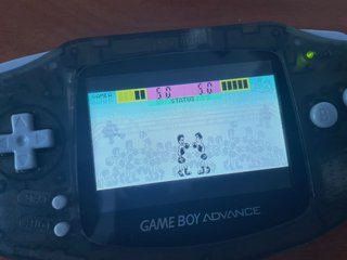 Nintendo Game & Watch Gallery Advance Original Esp