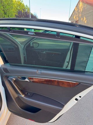 Volkswagen Passat 2.0 TDI 170 cv 4 Motion dsg