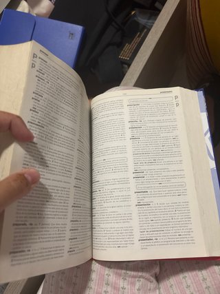 Diccionario Lengua Española Secundaria