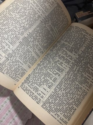 Diccionario manual