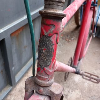 Bicicleta varillas Roja marca DAL.....se envia...
