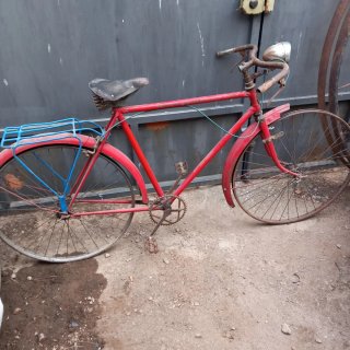 Bicicleta varillas Roja marca DAL.....se envia...