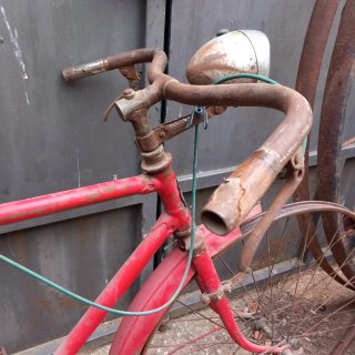 Bicicleta varillas Roja marca DAL.....se envia...