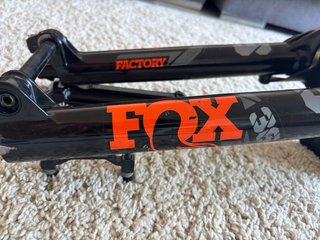 Fox 36 Kashima