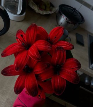 Bouquet fatto a mano/portachiavi su richiesta