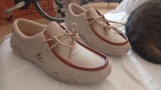 Scarpe Salkin Beige e Marrone