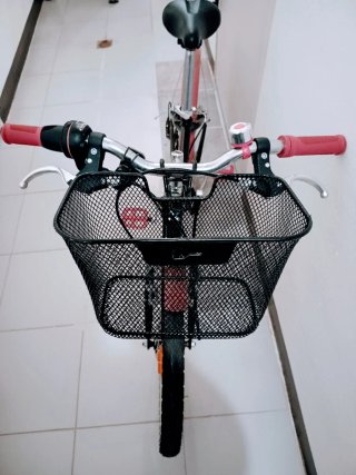 Bicicleta infantil niña