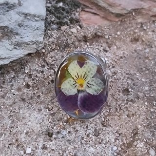 Anillo resina flor pensamiento morado y amarillo