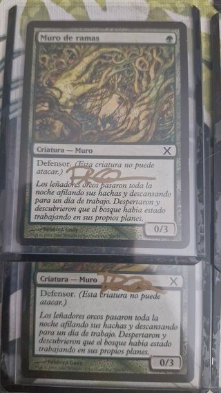 Cartas Magic Firmadas - Rebecca Guay