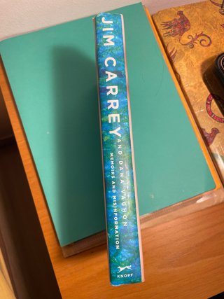 Memoirs and Misinformation A novel