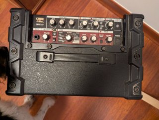 Amplificador Roland 40XL