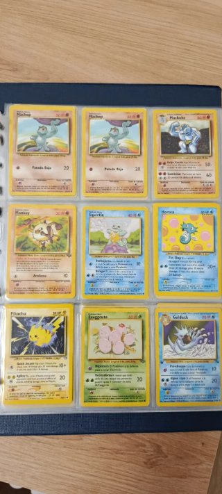 Carpeta Cartas Pokémon Primeras Generaciones